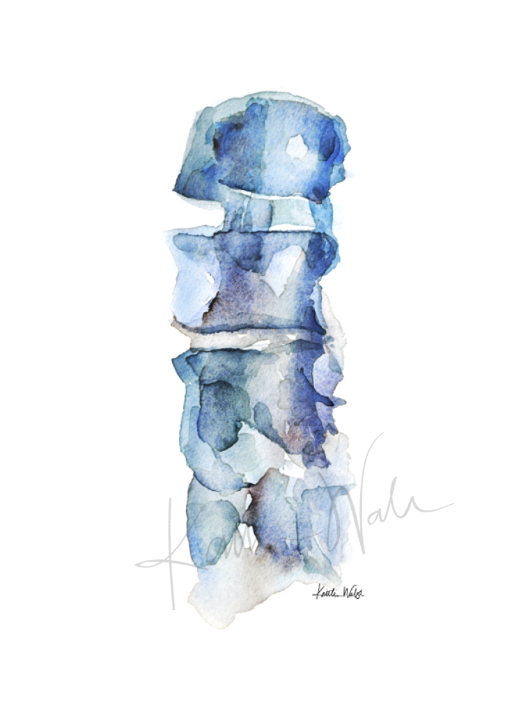 Watercolor print of blue spine. 