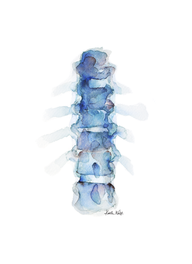 Blue Spine II Watercolor Print