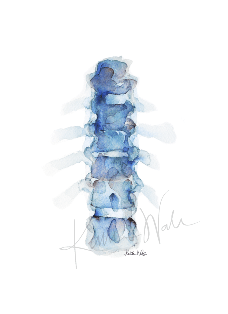 Blue Spine Print Set Watercolor