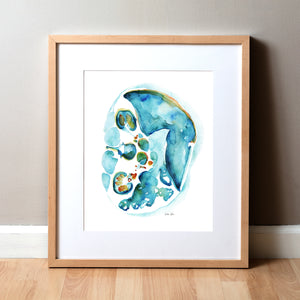 Framed watercolor painting showing the cross section of an abdomen in blues, teals, oranges, and greens.