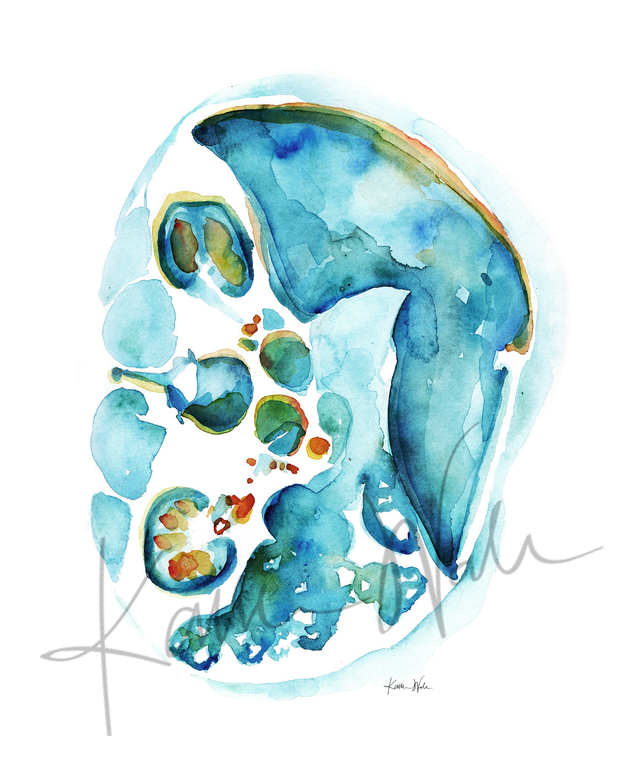 Unframed watercolor painting showing the cross section of an abdomen in blues, teals, oranges, and greens.