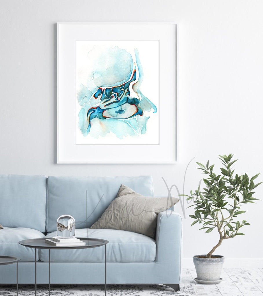 Sagittal Sinuses Print Watercolor