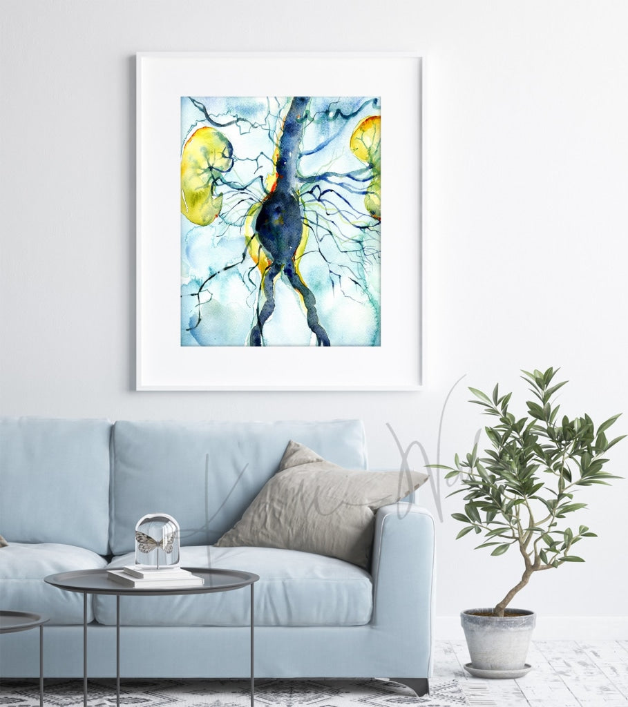 Framed Anatomical Watercolor Print of Arteriogram Hung On Living Room Wall in Modern White Frame