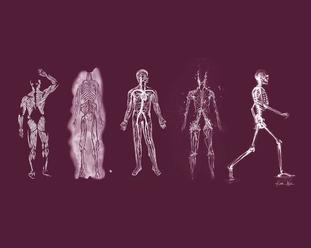 Body Systems Watercolor Print In Deep Purple - Digital Download