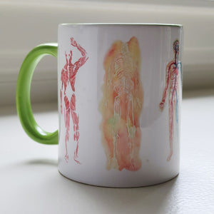 Body Systems In Color Anatomy Mug - Nervous System Lymphatic Skeletal Circulatory Muscular