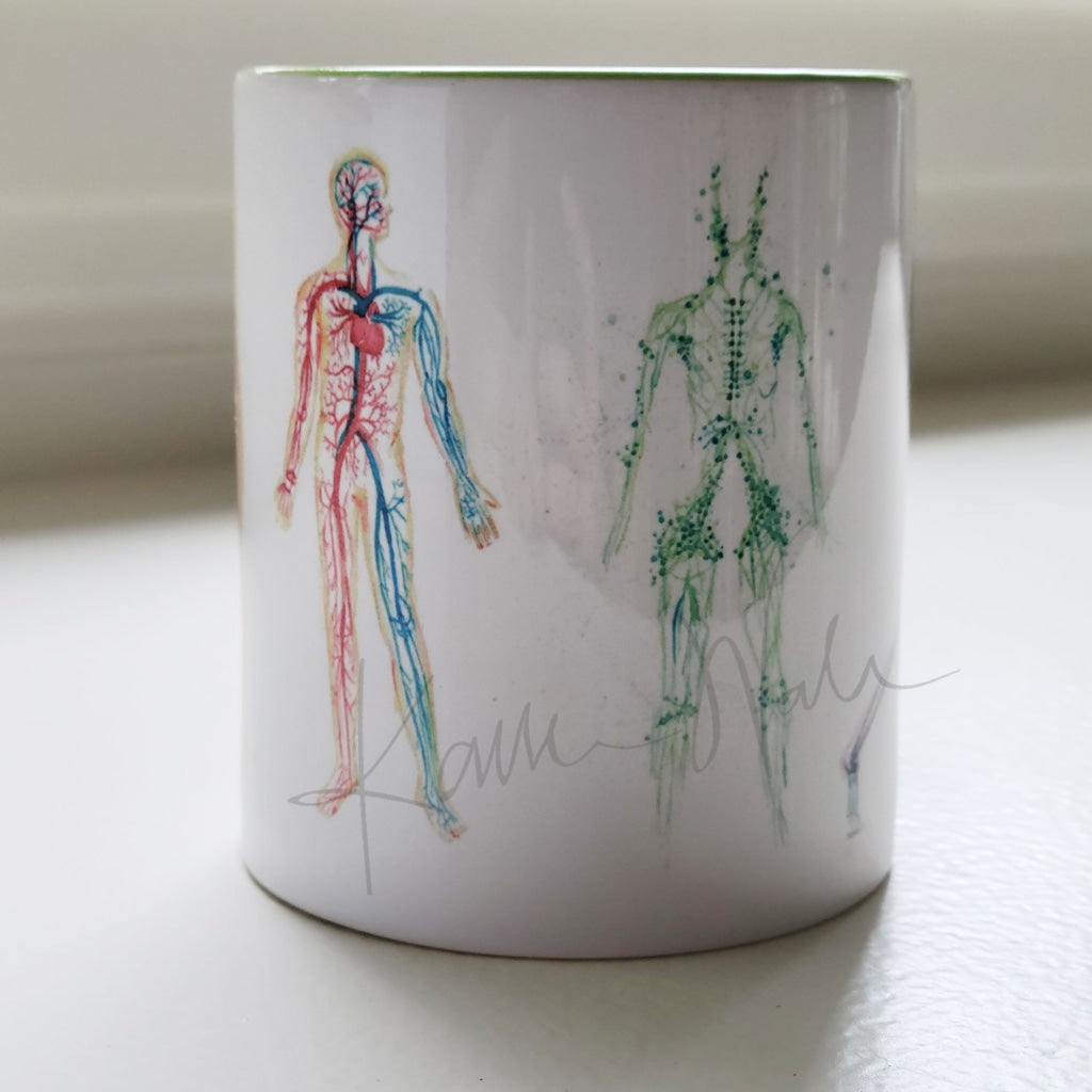 Body Systems In Color Anatomy Mug - Nervous System Lymphatic Skeletal Circulatory Muscular