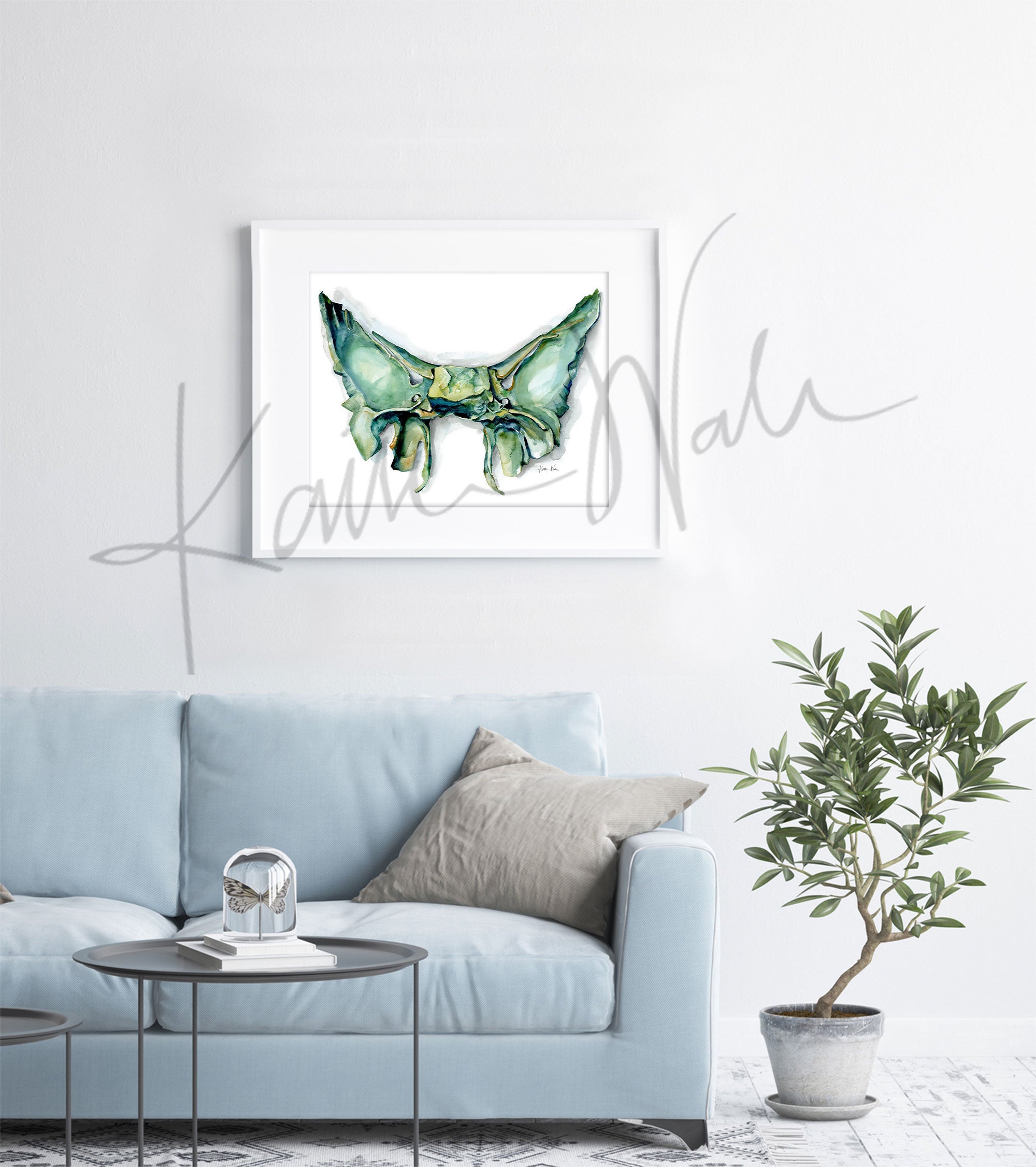 Framed watercolor painting of the sphenoid bone. The painting is hanging over a blue couch.