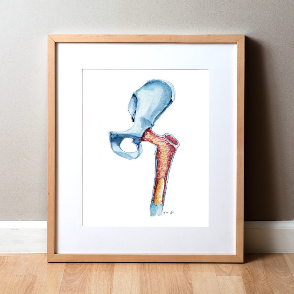 Bone Marrow Watercolor Print