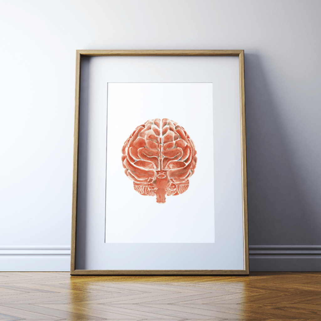 Brain In Clay Red Print Watercolor