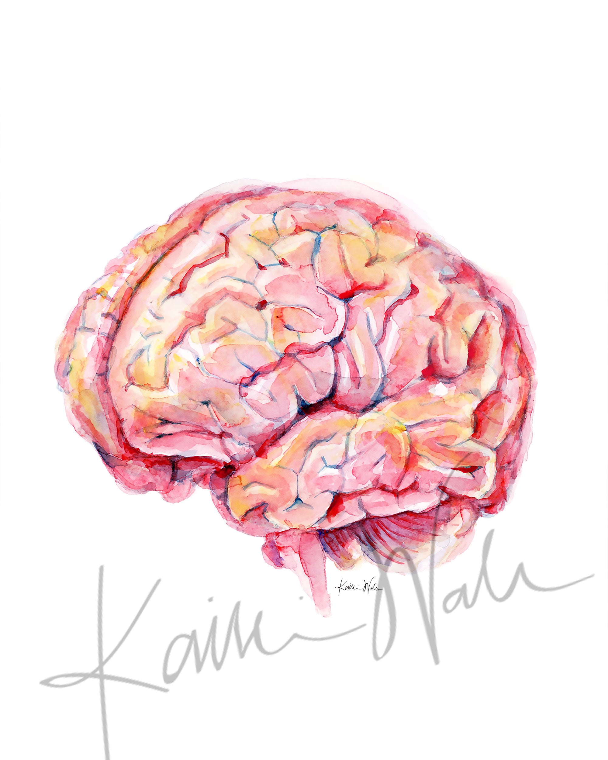 Brain Disease Prevention Watercolor Print