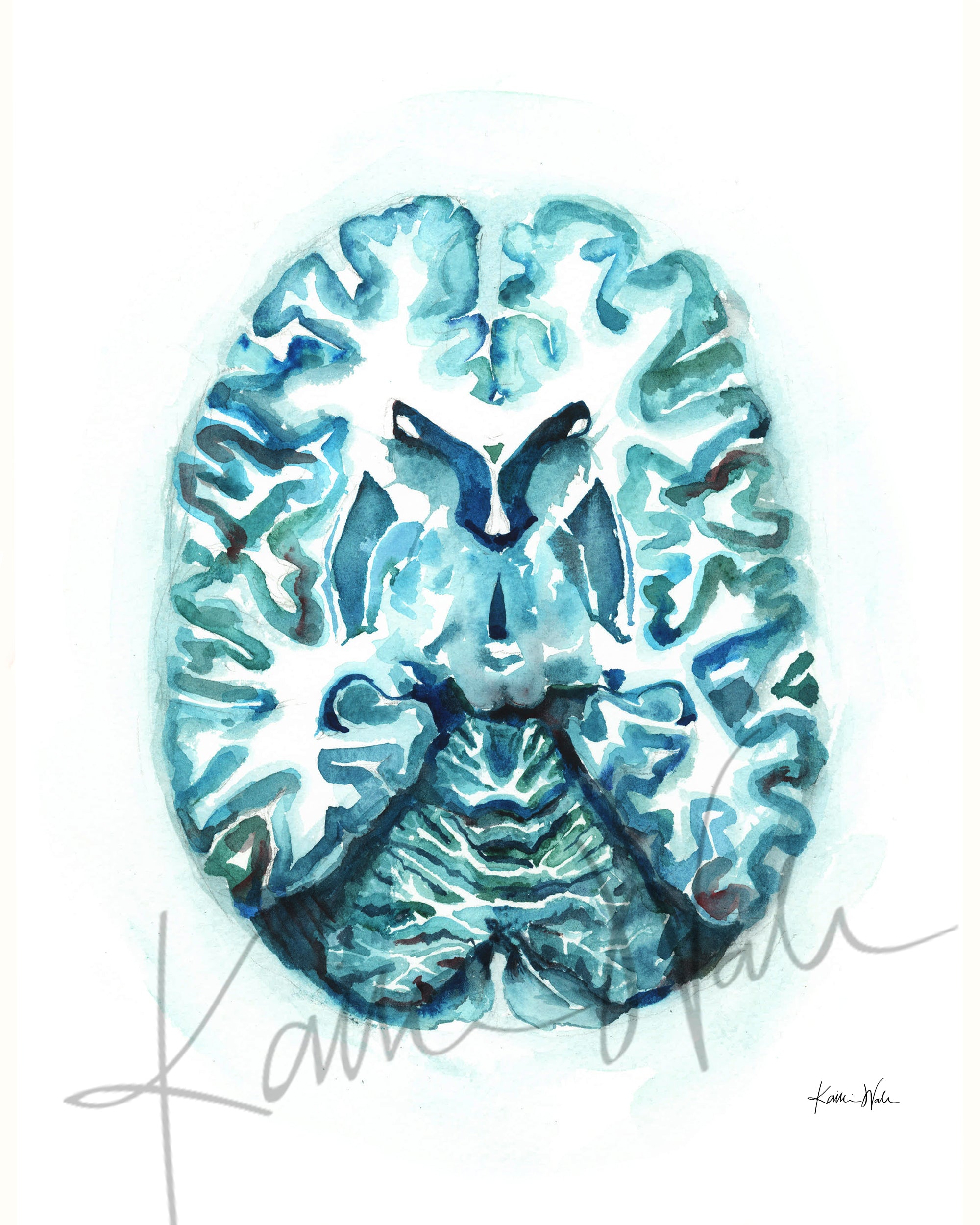 Unframed watercolor painting showing a teal and blue transverse cut of the brain.