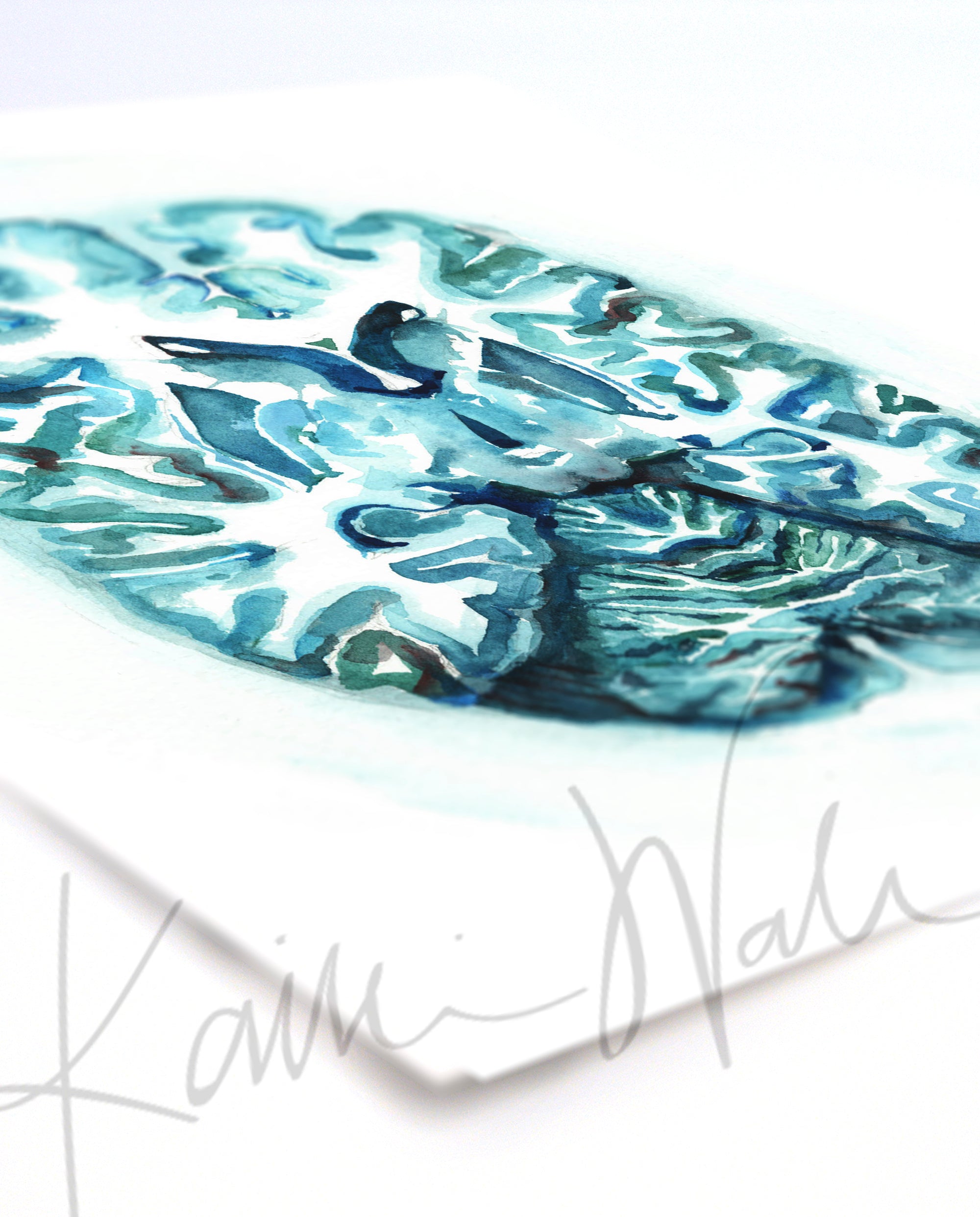 Unframed watercolor painting at an angle showing a teal and blue transverse cut of the brain.