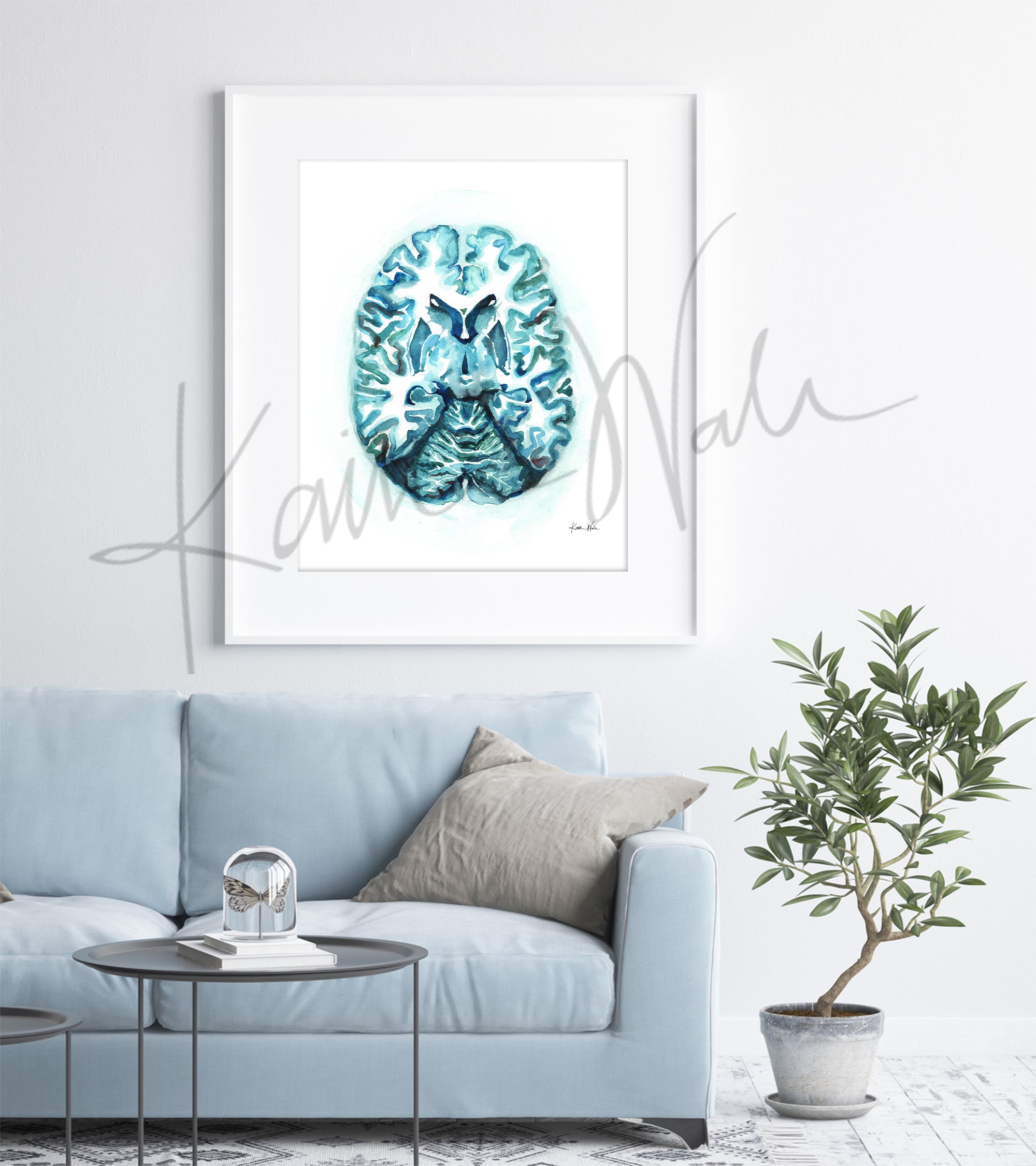 Framed watercolor painting showing a teal and blue transverse cut of the brain. The painting is hanging over a blue couch.