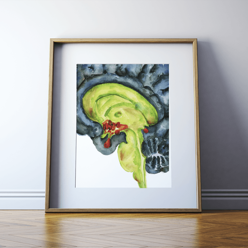 Endocrine Brain Print Watercolor