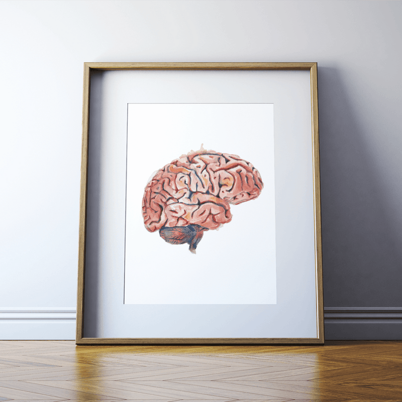 Anatomy Art Painting Print of a Sagittal Brain in Watercolor