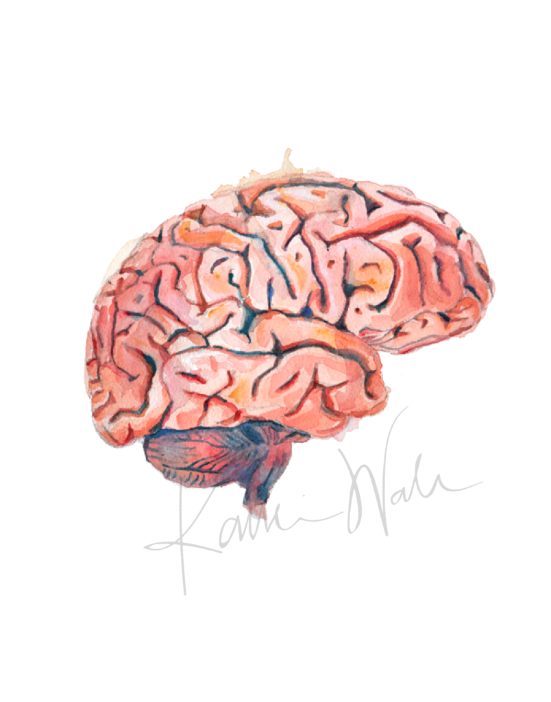 Sagittal Brain Print Watercolor