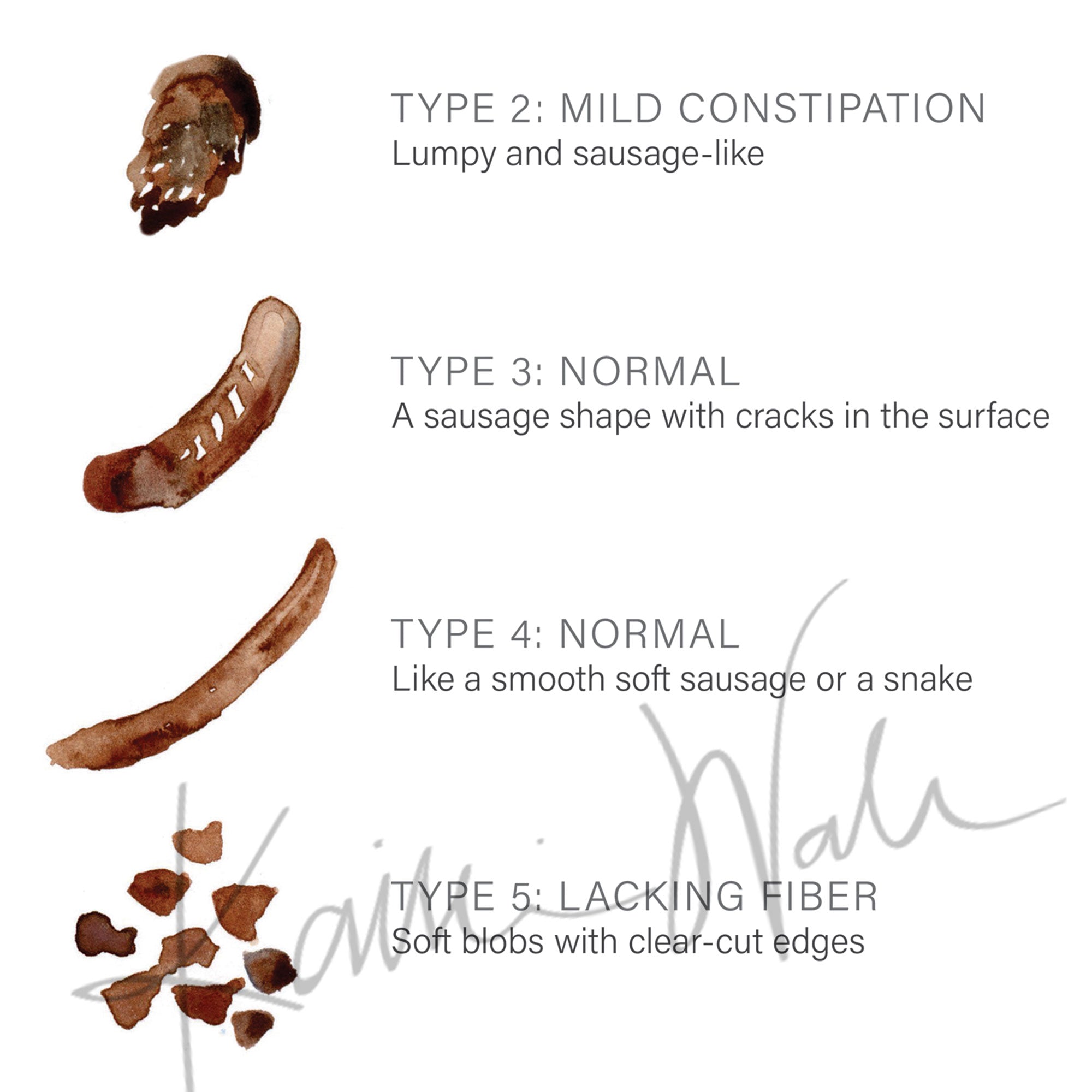 Bristol Stool Chart Watercolor Print