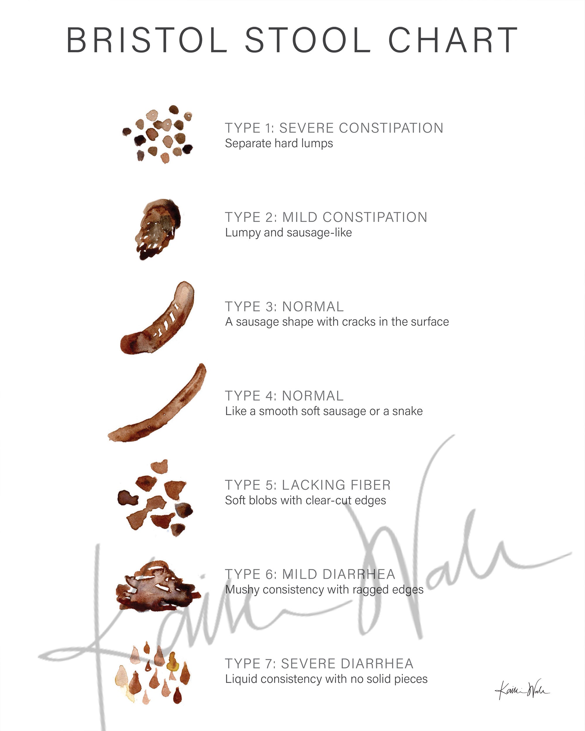 Bristol Stool Chart Watercolor Print