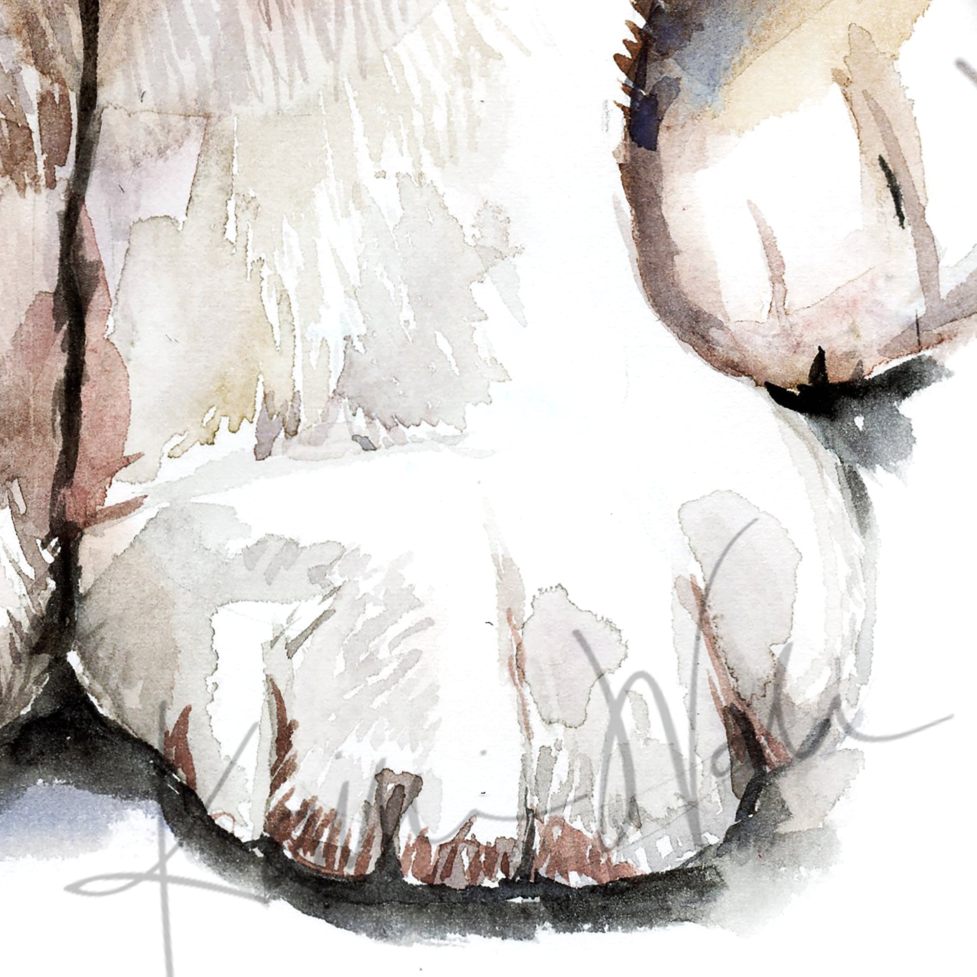 Zoomed in watercolor painting of a cat paw. The cat is gray, tan, and white.