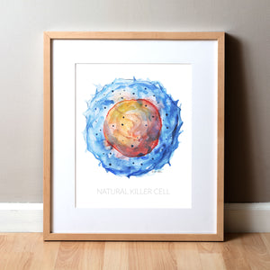 Framed watercolor painting of a natural killer cell.