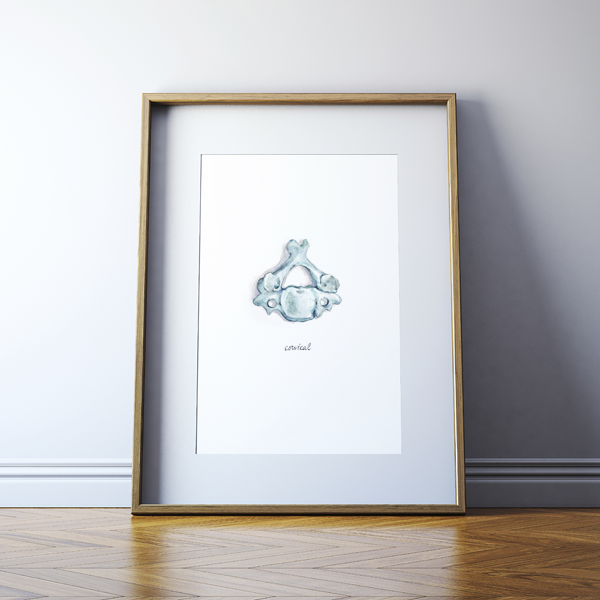 Cervical Vertebra Watercolor Print