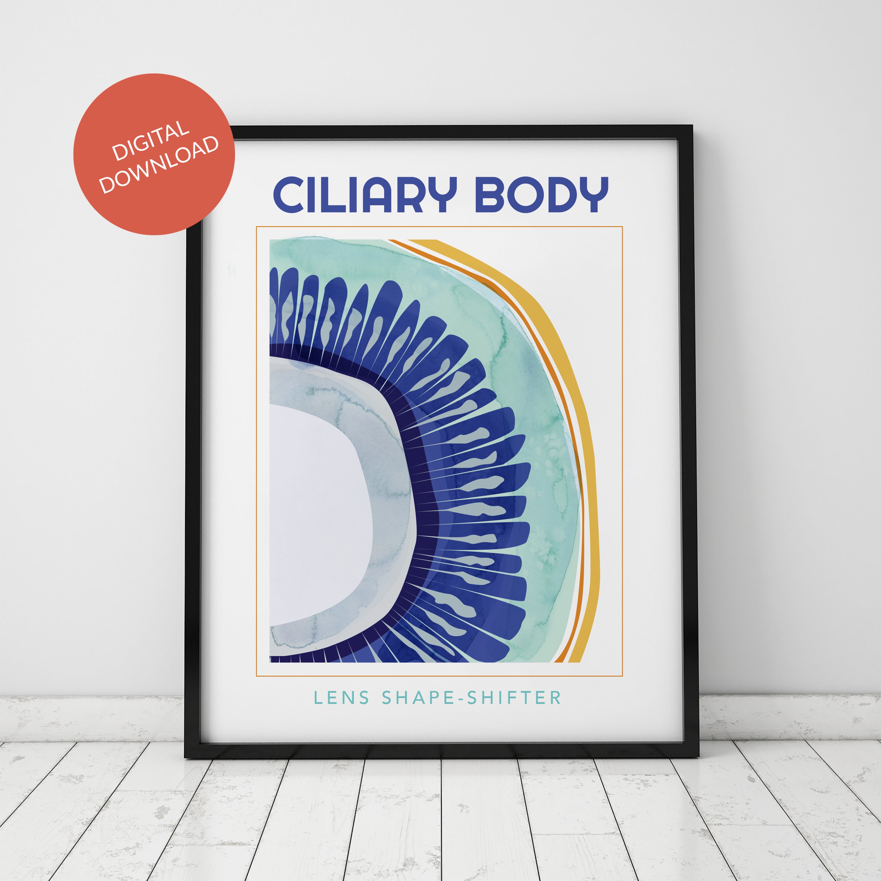 Ciliary Body Poster - LIMITED EDITION DIGITAL DOWNLOAD