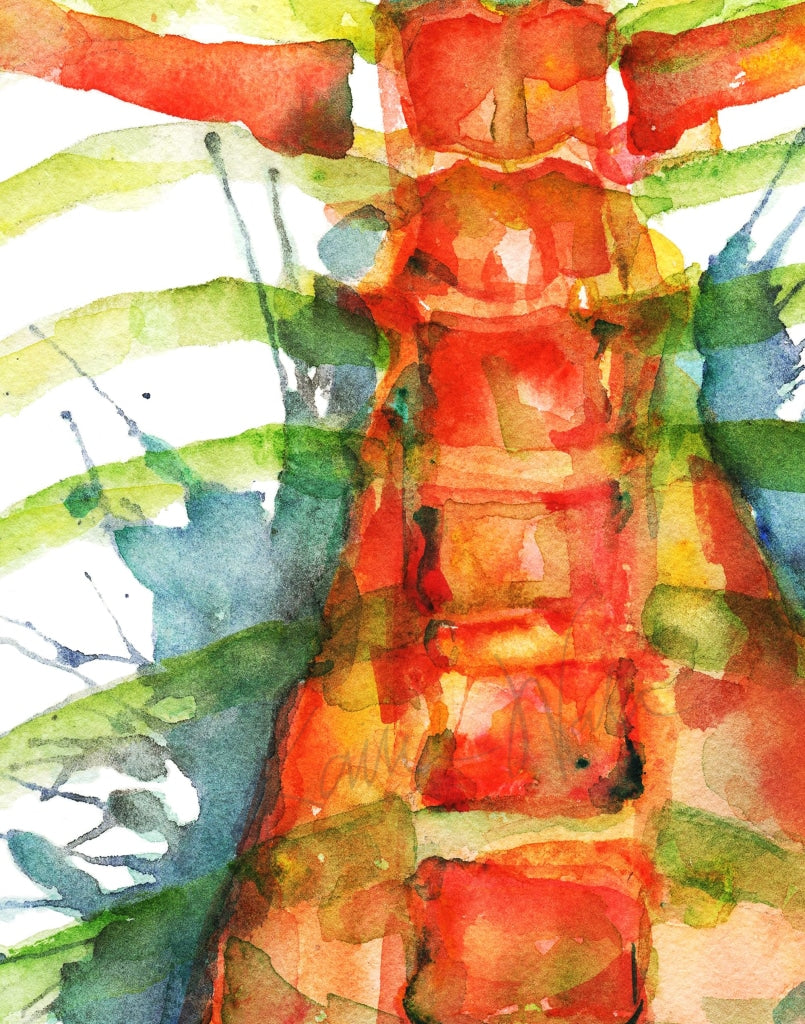 The Thorax Watercolor Print