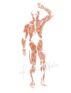 Muscular System Watercolor - Original