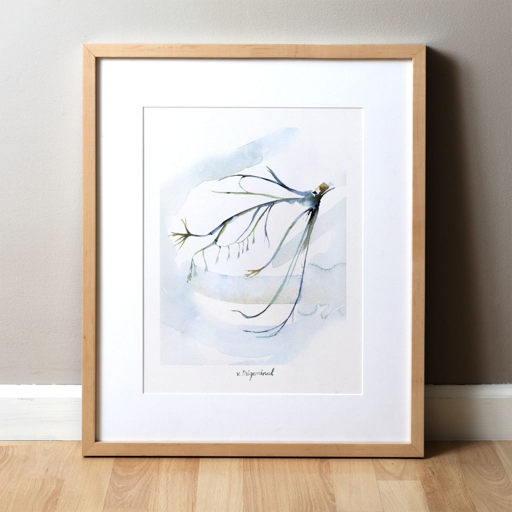 Cranial Nerve V: Trigeminal Print Watercolor