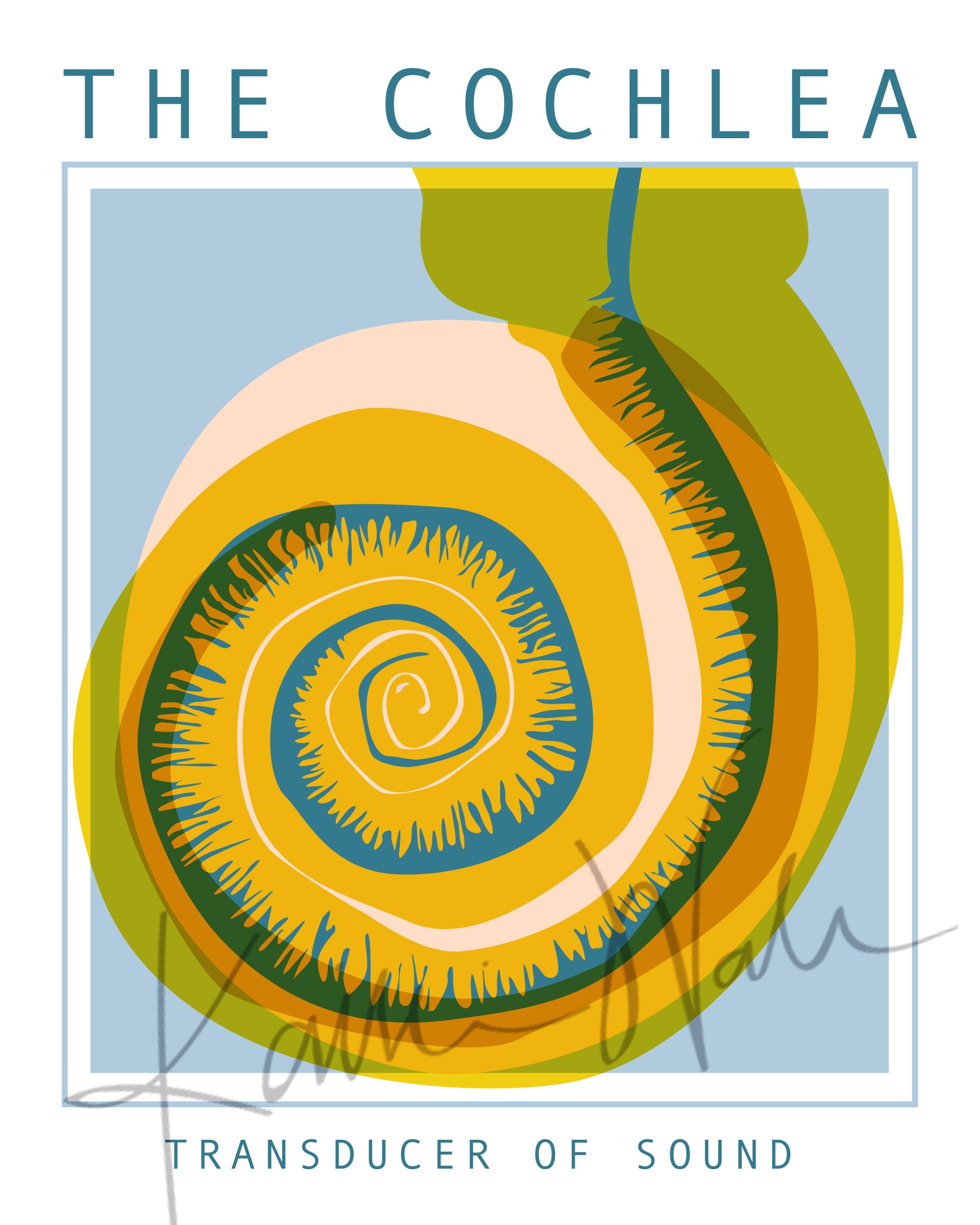 Cochlea Poster - LIMITED EDITION DIGITAL DOWNLOAD