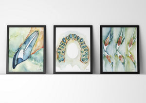 Conebeam Dental Print Set Watercolor