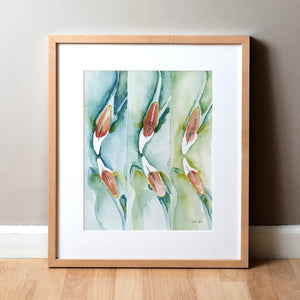 Conebeam Ii Watercolor Print