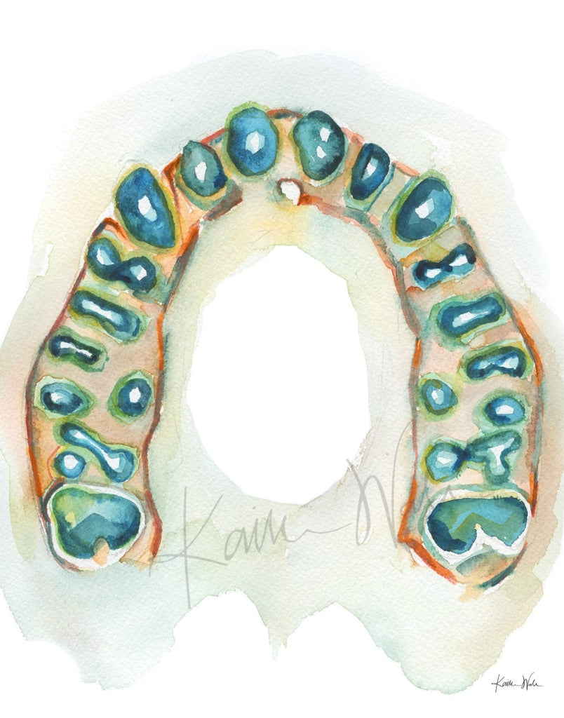Conebeam Dental Print Set Watercolor