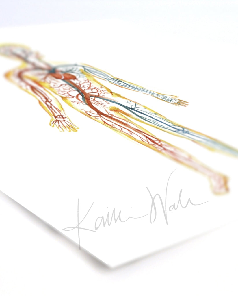 Body Systems Set In Red Blue And Green Watercolor Print