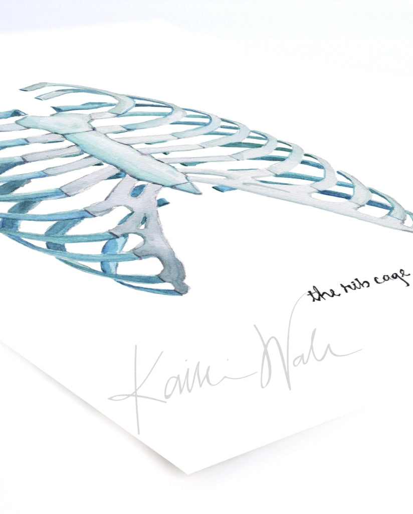 Rib Cage Print Watercolor