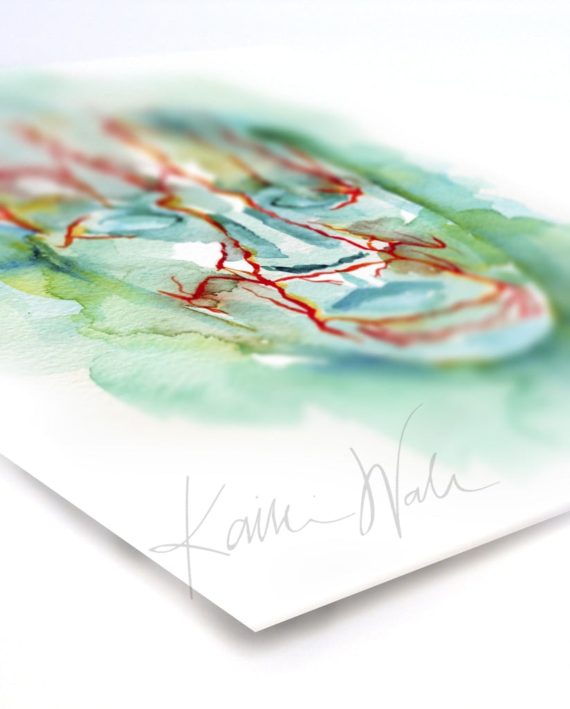 Facial Vasculature Watercolor Print