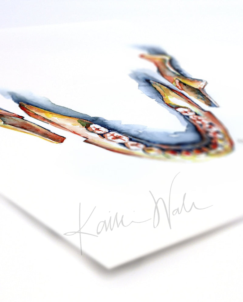 Bsso Watercolor Print