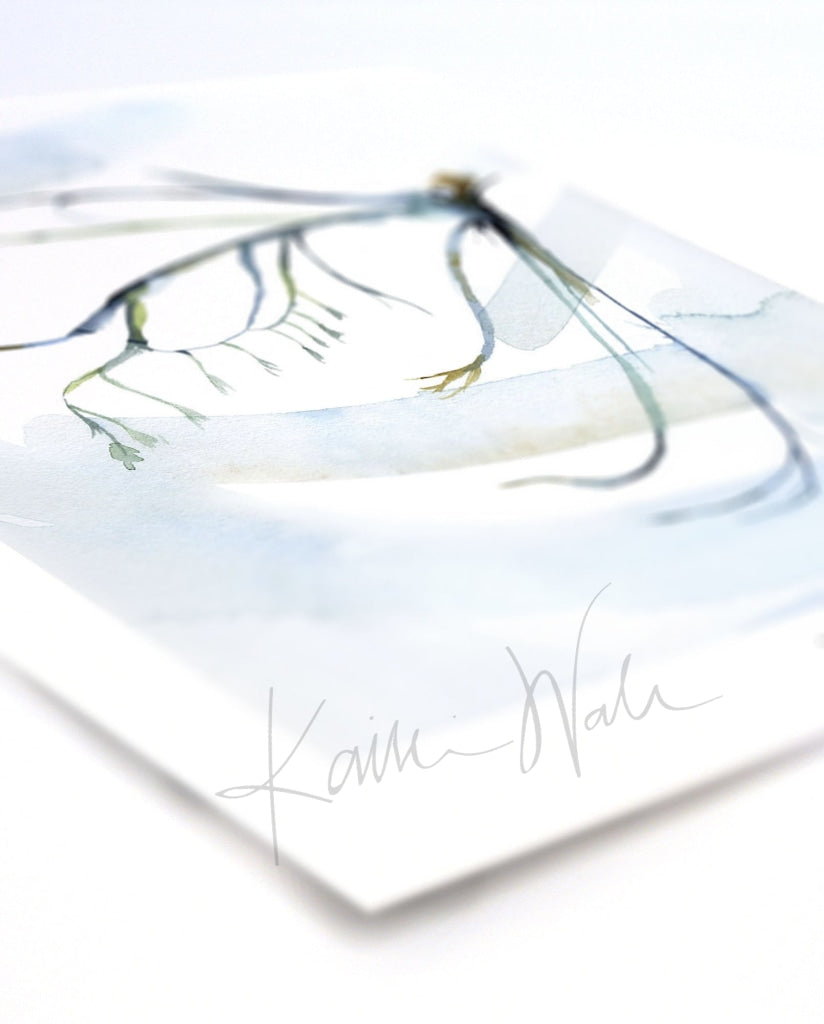 Cranial Nerve V: Trigeminal Print Watercolor