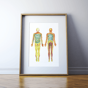 Dermatomes Watercolor Print