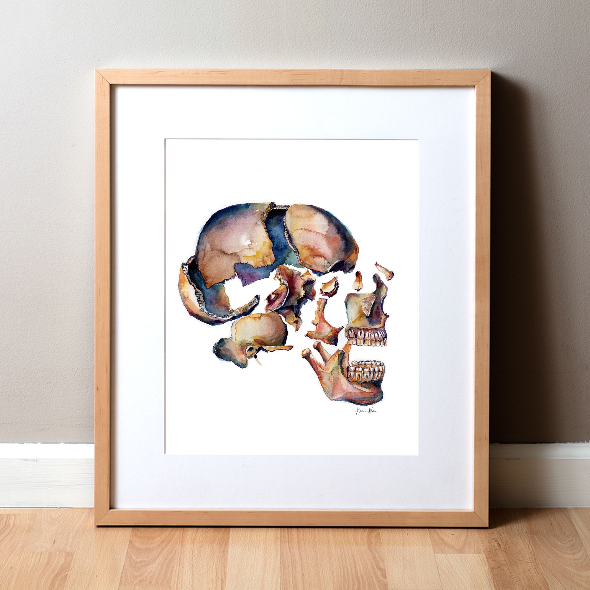 Exploded View of Skull II Watercolor Print