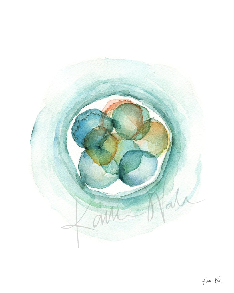 Embryo Set Of 3 Watercolor Prints Print