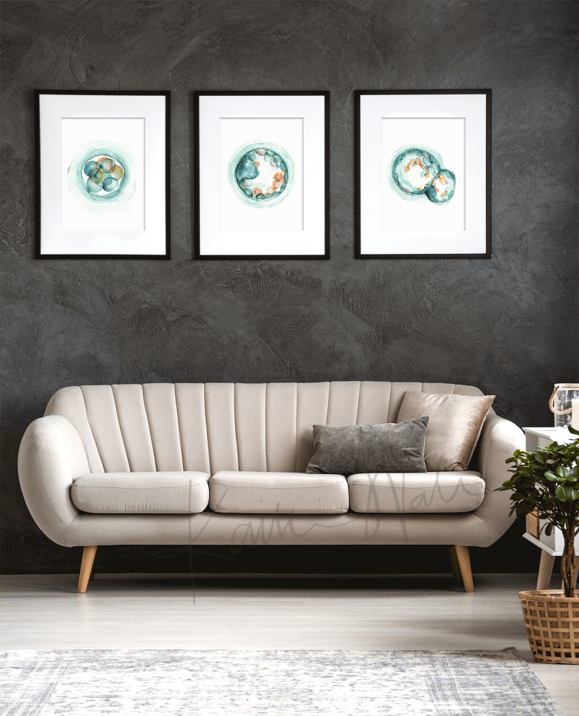 Embryo Set Of 3 Watercolor Prints Print