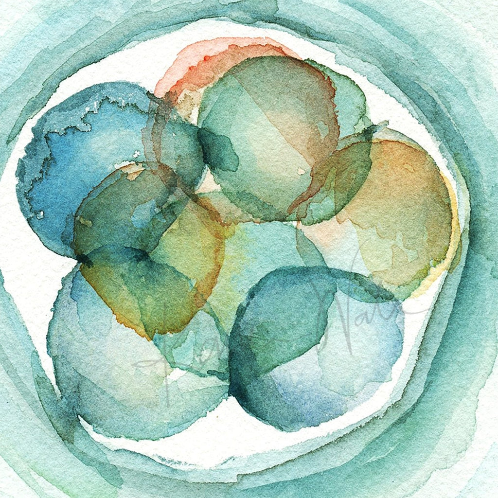 Day 3 Embryo Watercolor Print