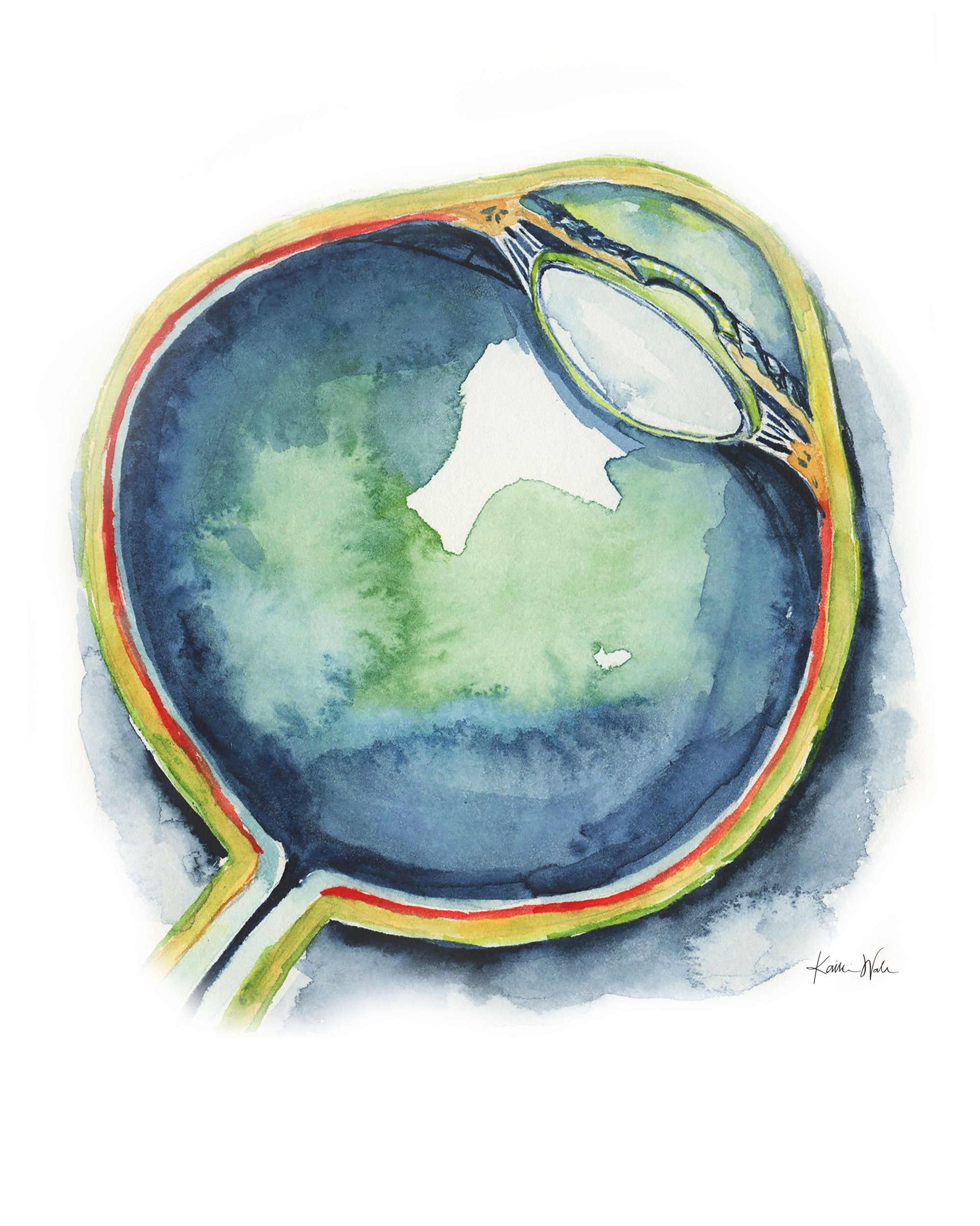 Eye in Teal Watercolor Print