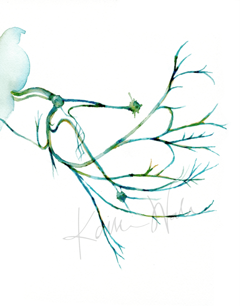 Facial Nerve Print Watercolor