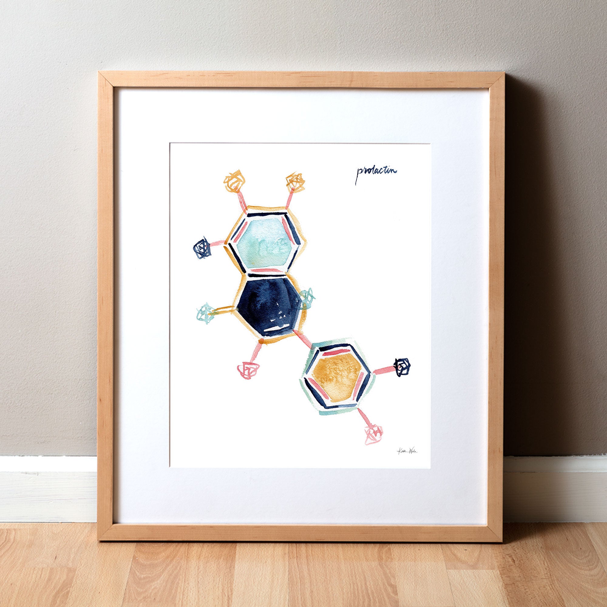 Framed watercolor painting of the prolactin hormone molecular structure.