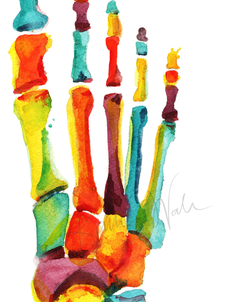 Bright Bones Of The Foot Print Watercolor