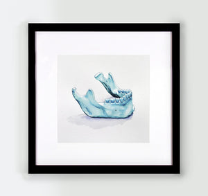 Mandible Watercolor - Original