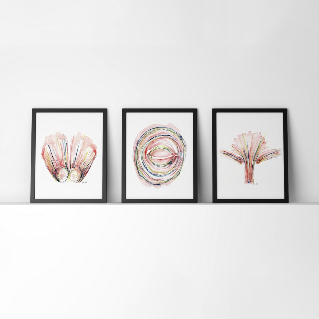 Muscles Of Facial Expression Print Set Watercolor