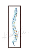 Spinal Column Watercolor Print - Spine Art - Orthopedic Art - Spinal Paintings
